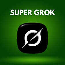 Super Grok 1 Year - Non Warranty